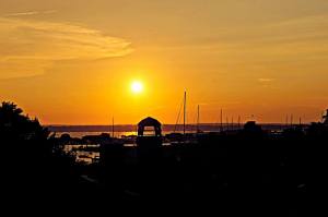 16294_10151807657154932_796076213_n