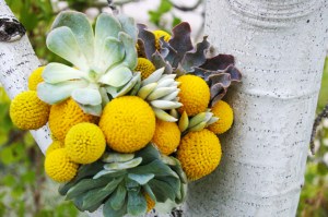 billy-ball-succulent-bouquet-studio-stems-utah-wedding-flowers